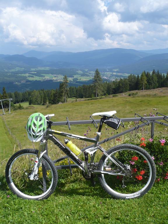 Haus Pfarrkirchner Lägenhet Mauterndorf  Exteriör bild